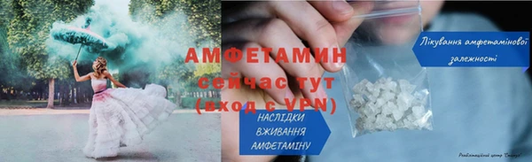 ПСИЛОЦИБИНОВЫЕ ГРИБЫ Богданович