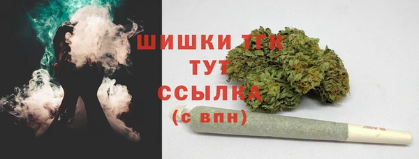 гидра Богородицк