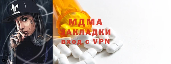гидра Богородицк