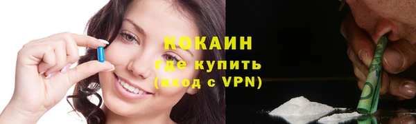 гидра Богородицк