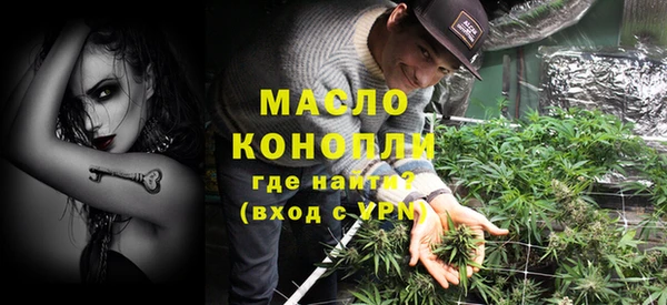 гидра Богородицк