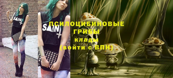 ПСИЛОЦИБИНОВЫЕ ГРИБЫ Богданович