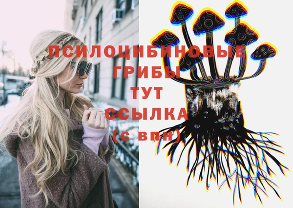 твердый Беломорск