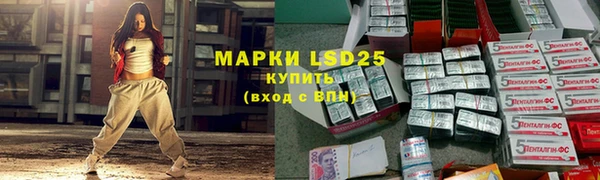 гидра Богородицк