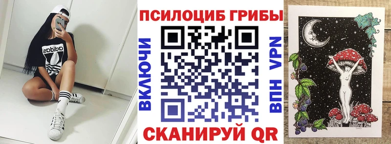 Псилоцибиновые грибы прущие грибы  Гремячинск 